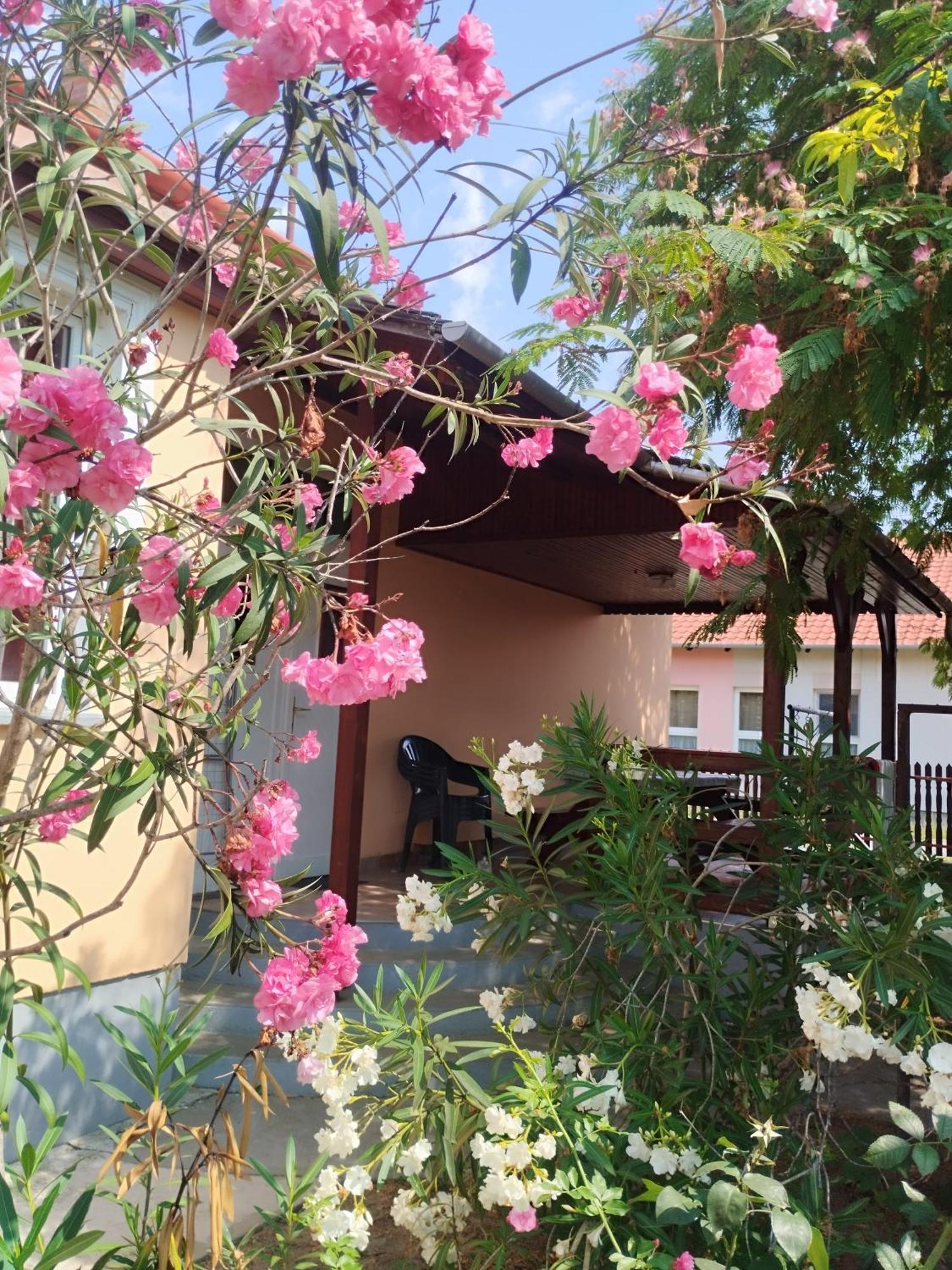 Abadi Karmazsin Haz Villa Abadszalok Exterior photo
